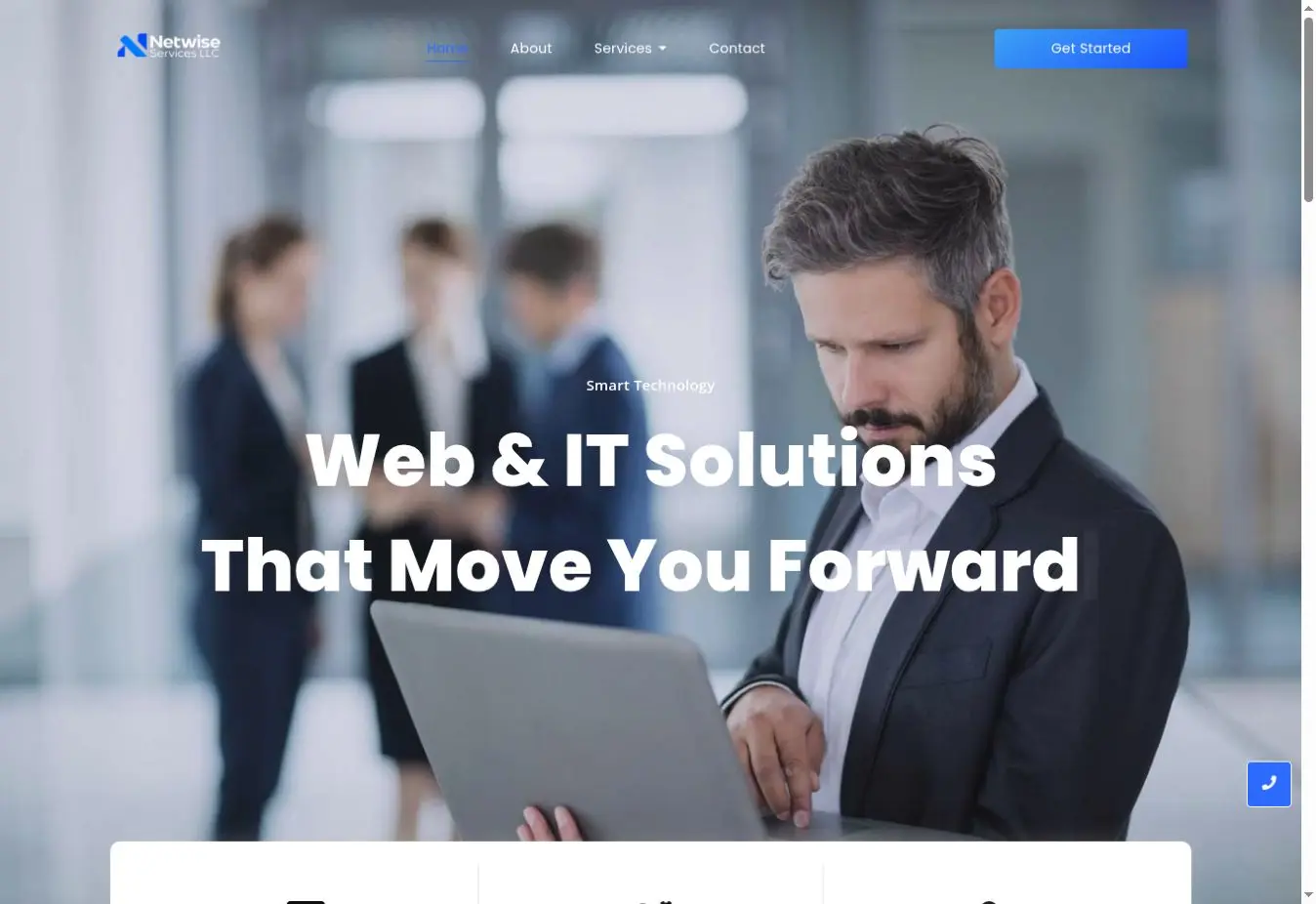 Netwise Services – Professional Web & IT Website